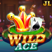 Wild Ace slot game on Xber casino
